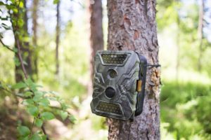 Best Cellular Trail Cameras