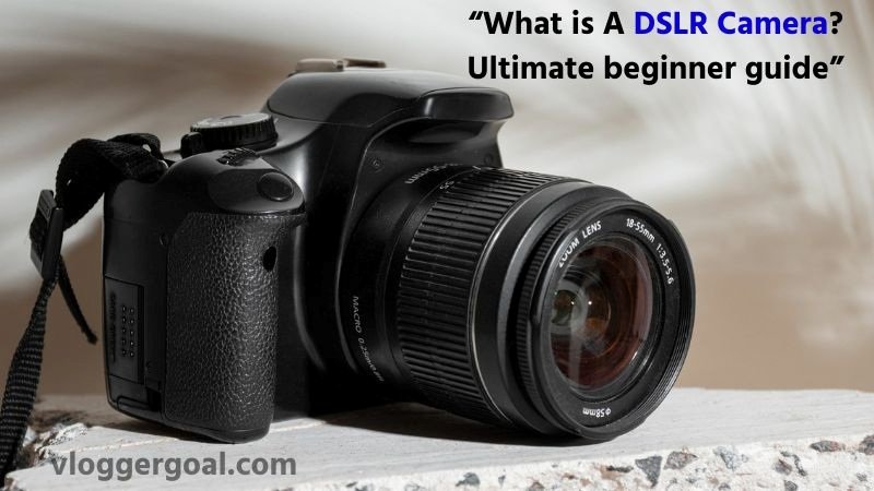 What is A DSLR Camera: Ultimate Beginner Guide